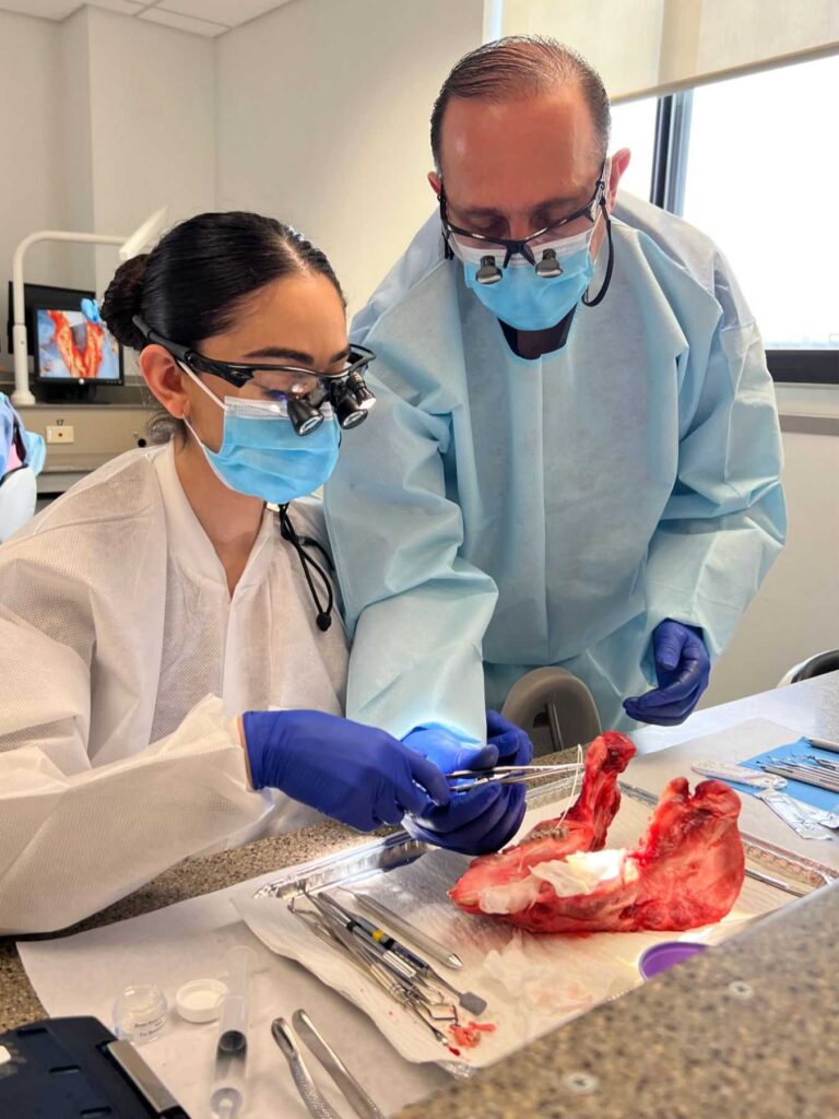 Pig Jaw GBR | Dental implant continuing education MI